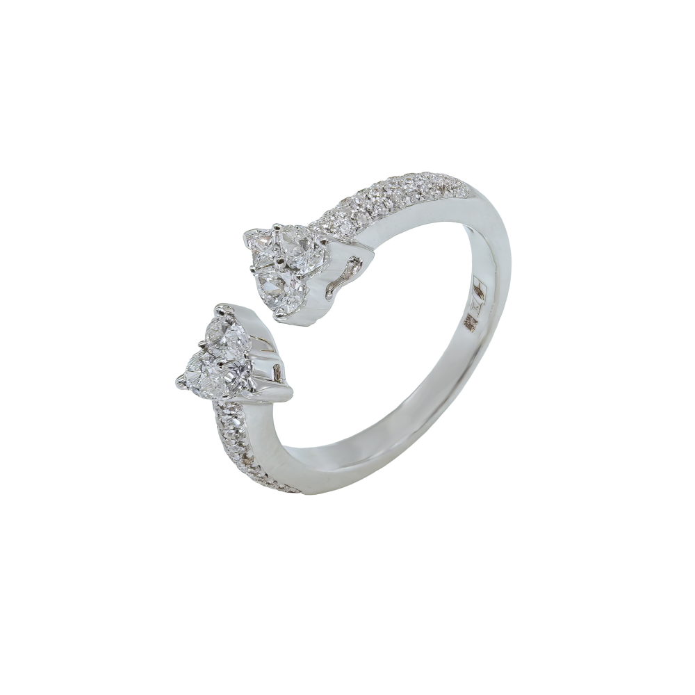 Кольцо Broggian 